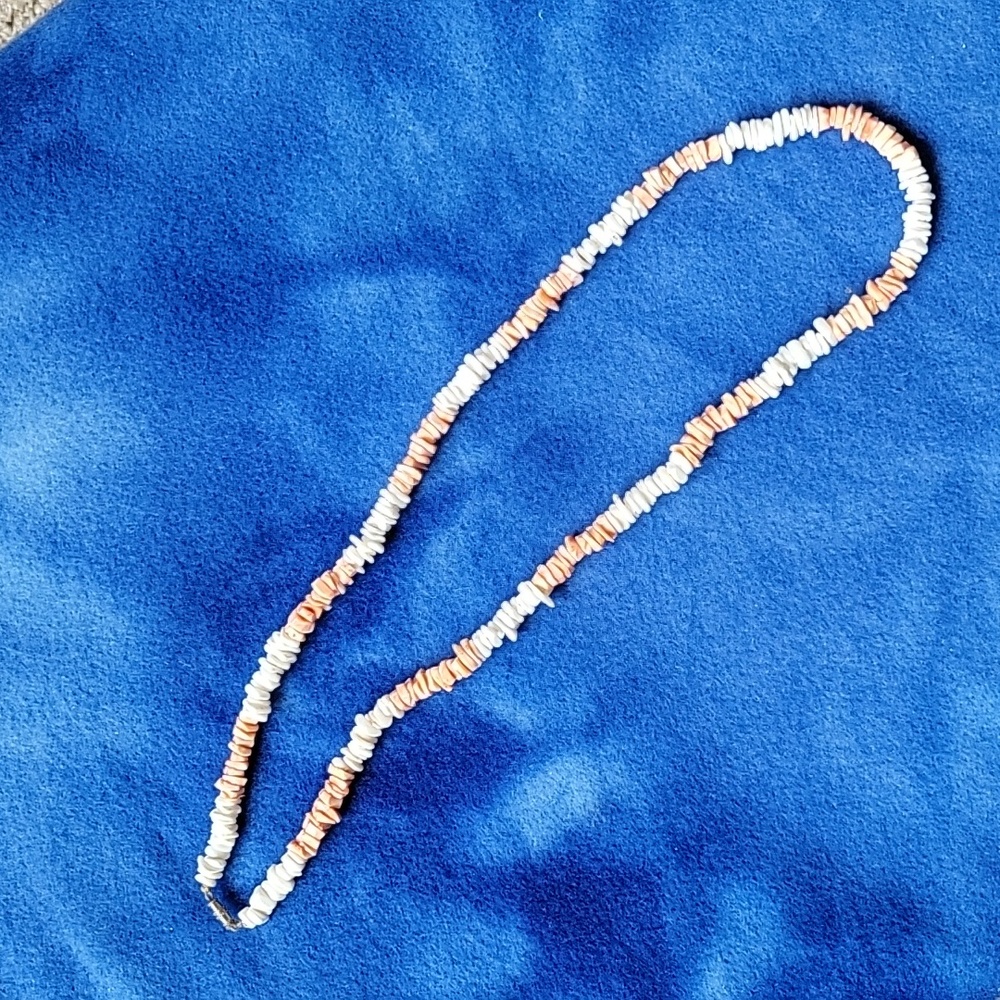 Shell Necklace